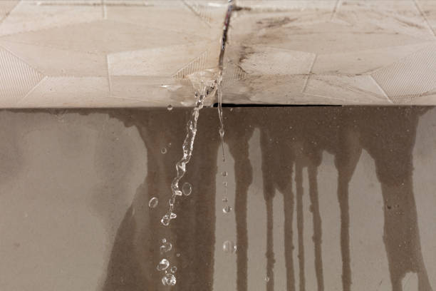 Professional Sewage Cleanup technician working in Novato, CA
